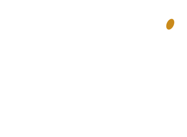 세로형 흰색 로고